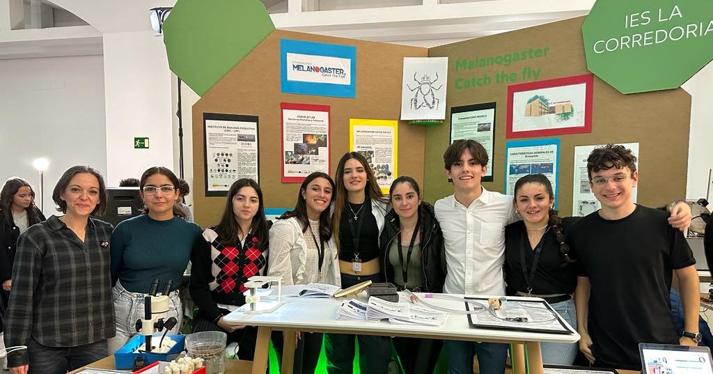 Stand del proyecto Melanogaster CTF en la I Feria de la Ciencia e Innovación de Asturias