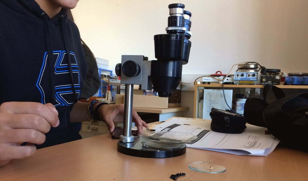 Alumno identificando muestras con lupa binocular.