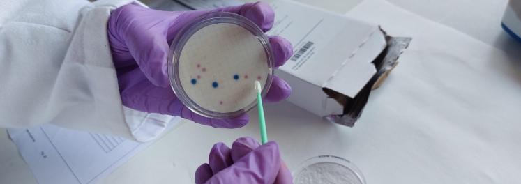 Identificando bacterias presentes en las muestras